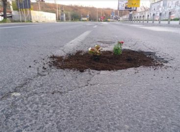 (ФОТО) Скопјани му посакаа “Добро утро“ на Шилегов со засадени цвеќиња во дупките на булеварите.