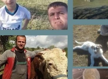 Демант на Александар Мачевски за наводното малтретирање на животно од страна на инспектор