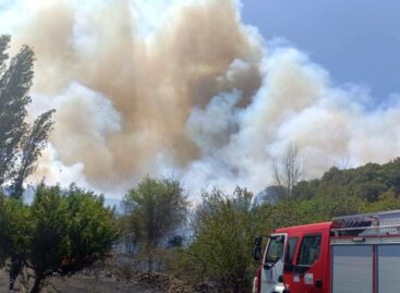 Голем пожар на Малешевските планини од бугарска страна во општина Струмјани кој се движи на кај македонската граница – Malesh Net